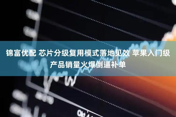 锦富优配 芯片分级复用模式落地见效 苹果入门级产品销量火爆倒逼补单