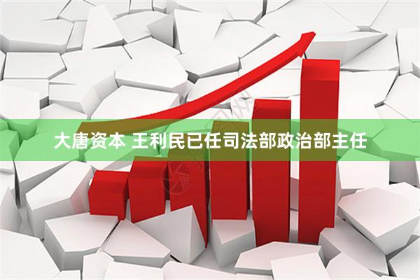 大唐资本 王利民已任司法部政治部主任