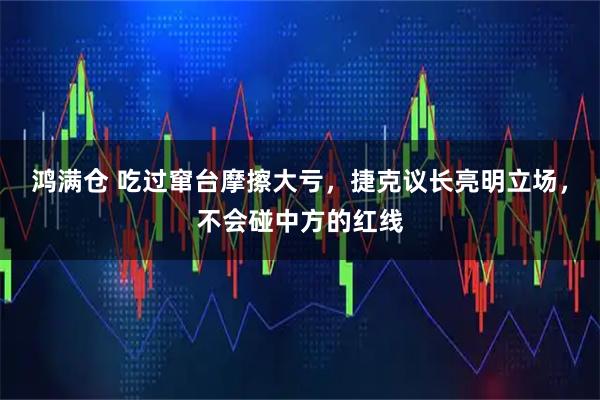 鸿满仓 吃过窜台摩擦大亏，捷克议长亮明立场，不会碰中方的红线